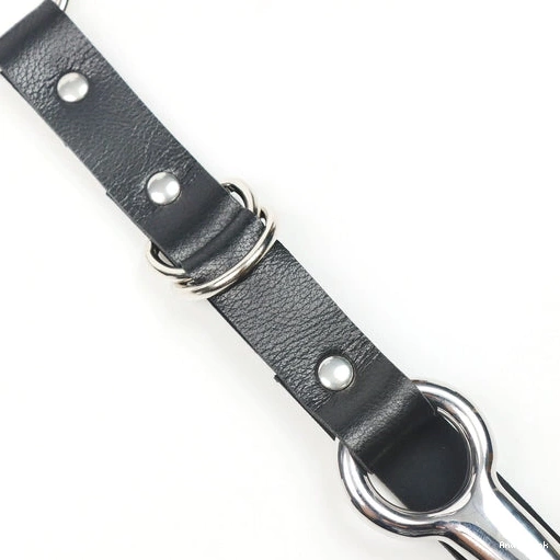 Kinky Collar Hook EverydayUse Leash with and Anal 5853 0318